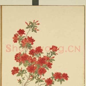 清李秉德临张伟花果鱼鸟.册.榴花故画|1幅|9.28 MB|高清下载