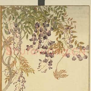 清李秉德临张伟花果鱼鸟.册.藤花故画|1幅|10.58 MB|高清下载