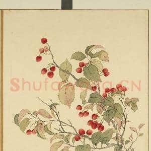 清李秉德临张伟花果鱼鸟.册.樱桃故画|1幅|9.59 MB|高清下载