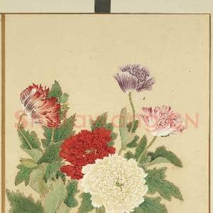 清李秉德临张伟花果鱼鸟.册.罂粟故画|1幅|10.6 MB|高清下载