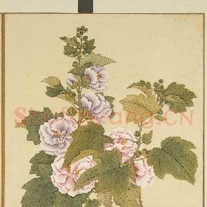 清李秉德临张伟花果鱼鸟.册.蜀葵故画|1幅|10.78 MB|高清下载