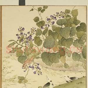 清李秉德临张伟花果鱼鸟.册.豆花鹡鸰故画|1幅|11.18 MB|高清下载