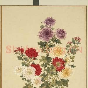 清李秉德临张伟花果鱼鸟.册.菊花故画|1幅|10.8 MB|高清下载