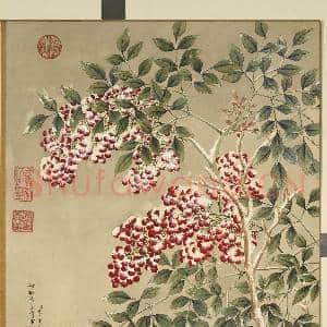 清李秉德临张伟花果鱼鸟.册.天竺子故画|1幅|12.05 MB|高清下载