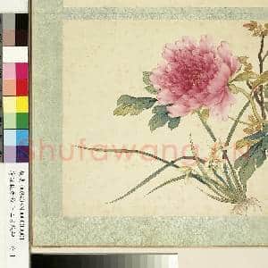 清沈振麟绘十二月花神.册.兰花牡丹故画|2幅|17.92 MB|高清下载