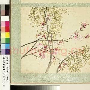 清沈振麟绘十二月花神.册.杨柳桃花故画|1幅|9.33 MB|高清下载