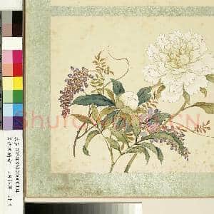 清沈振麟绘十二月花神.册.芍药紫藤故画|1幅|9.06 MB|高清下载