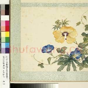 清沈振麟绘十二月花神.册.秋葵牵牛花故画|1幅|9.08 MB|高清下载