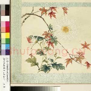 清沈振麟绘十二月花神.册.菊花枫树故画|1幅|9.14 MB|高清下载