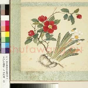 清沈振麟绘十二月花神.册.水仙茶花故画|1幅|9.05 MB|高清下载