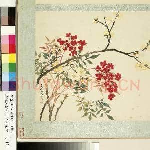 清沈振麟绘十二月花神.册.腊梅南天竺故画|1幅|8.95 MB|高清下载