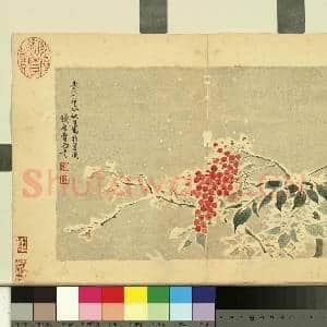 清费而奇花卉.册.南天竺故画|1幅|10.67 MB|高清下载