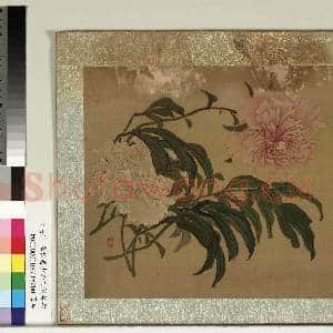 清黄慎王旼序荣集绘.册.芍药故画|2幅|21.71 MB|高清下载