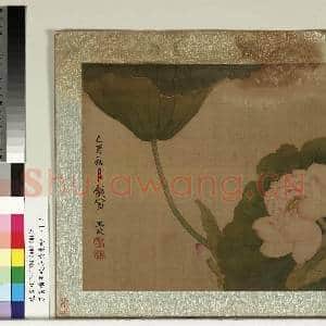清黄慎王旼序荣集绘.册.荷花故画|2幅|21.36 MB|高清下载