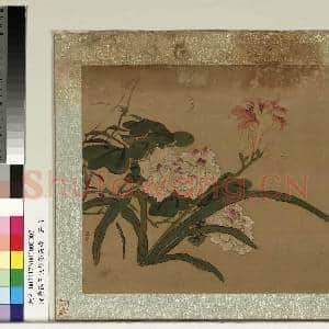 清黄慎王旼序荣集绘.册.芙蓉故画|2幅|21.1 MB|高清下载