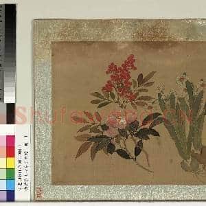 清黄慎王旼序荣集绘.册.水仙茶花天竺故画|2幅|21.24 MB|高清下载