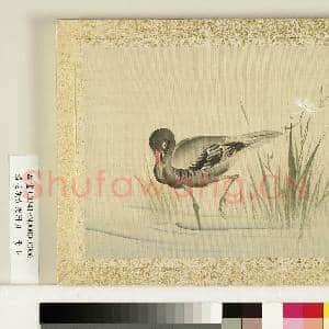 清花蹊女史册页.册.枫木翠鸟故画|3幅|27.61 MB|高清下载