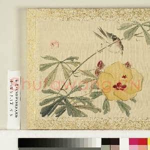 清花蹊女史册页.册.丝瓜麻雀故画|3幅|28.15 MB|高清下载