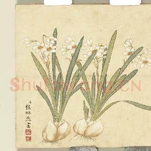 清程琳画|1幅|8.83 MB|高清下载