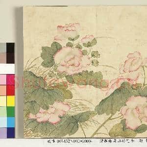 清程琳画|1幅|8.56 MB|高清下载