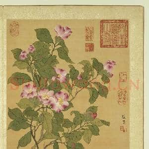 清张伟写生花卉.册.山茶故画|2幅|21.13 MB|高清下载