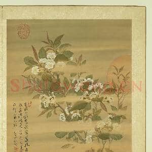 清张伟写生花卉.册.梨花故画|1幅|10.83 MB|高清下载