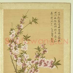 清张伟写生花卉.册.桃花故画|1幅|10.64 MB|高清下载