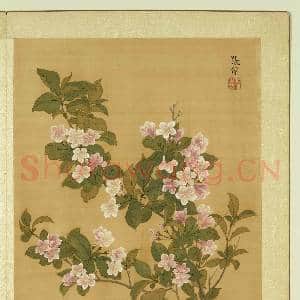清张伟写生花卉.册.郁李花故画|1幅|10.94 MB|高清下载