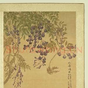 清张伟写生花卉.册.藤花故画|1幅|11.53 MB|高清下载
