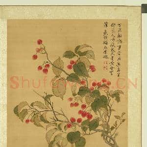 清张伟写生花卉.册.樱桃故画|1幅|10.88 MB|高清下载