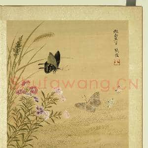 清张伟写生花卉.册.石竹蛱蜨故画|1幅|11 MB|高清下载