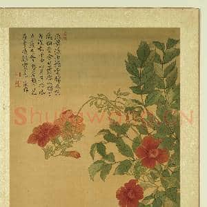 清张伟写生花卉.册.凌霄故画|1幅|11.64 MB|高清下载