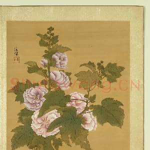 清张伟写生花卉.册.蜀葵故画|1幅|11.27 MB|高清下载
