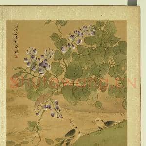 清张伟写生花卉.册.荳花脊鸰故画|1幅|11.97 MB|高清下载