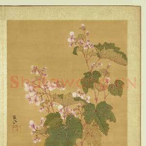 清张伟写生花卉.册.秋海棠故画|1幅|11.12 MB|高清下载
