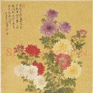 清张伟写生花卉.册.菊花故画|4幅|52.06 MB|高清下载