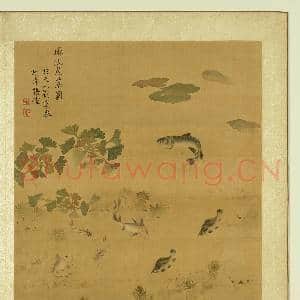 清张伟写生花卉.册.鱼藻故画|1幅|10.59 MB|高清下载