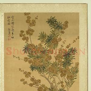 清张伟写生花卉.册.蜡梅罗汉松故画|1幅|11.63 MB|高清下载