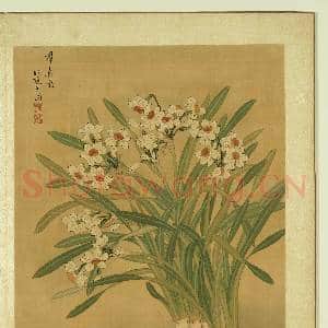 清张伟写生花卉.册.水仙故画|1幅|11.81 MB|高清下载