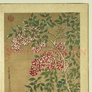 清张伟写生花卉.册.天竹故画|1幅|12.52 MB|高清下载