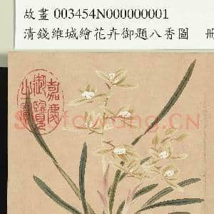 清钱维城绘花卉御题八香图.册.兰花故画|2幅|15.79 MB|高清下载