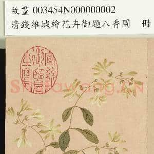 清钱维城绘花卉御题八香图.册.夜来香故画|2幅|15.62 MB|高清下载