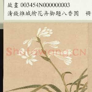 清钱维城绘花卉御题八香图.册.晚香玉故画|2幅|15.54 MB|高清下载