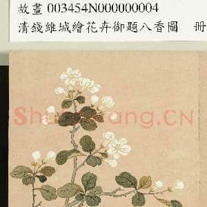 清钱维城绘花卉御题八香图.册.茉莉故画|2幅|15.8 MB|高清下载
