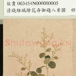 清钱维城绘花卉御题八香图.册.珠兰故画|2幅|16.6 MB|高清下载