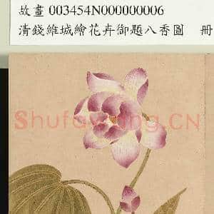 清钱维城绘花卉御题八香图.册.荷花故画|2幅|15.78 MB|高清下载