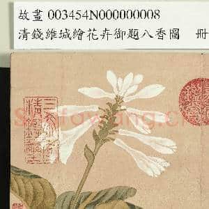 清钱维城绘花卉御题八香图.册.玉簪花故画|2幅|16.97 MB|高清下载