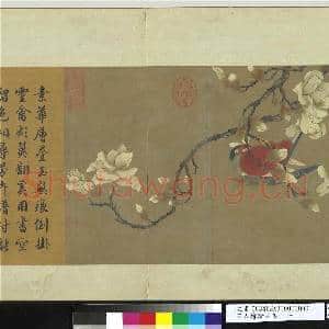 宋人绘珍片玉.册.宋林椿玉兰鹦鹉故画|2幅|19.6 MB|高清下载