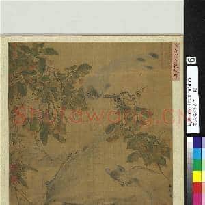 宋人绘珍片玉.册.宋黄居寀含桃绶带故画|2幅|20.33 MB|高清下载