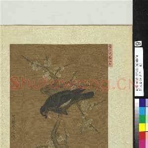 宋人绘珍片玉.册.宋李迪寒梅山雀故画|2幅|21.2 MB|高清下载